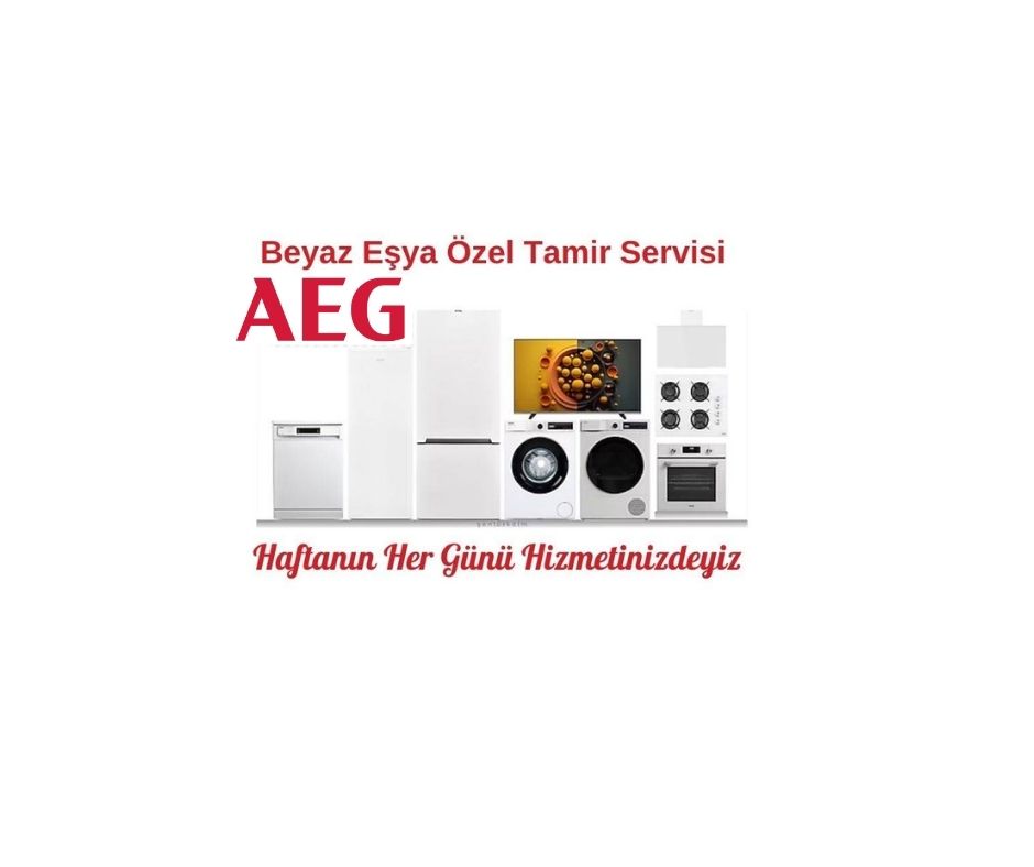 Afyon Aeg Servisi