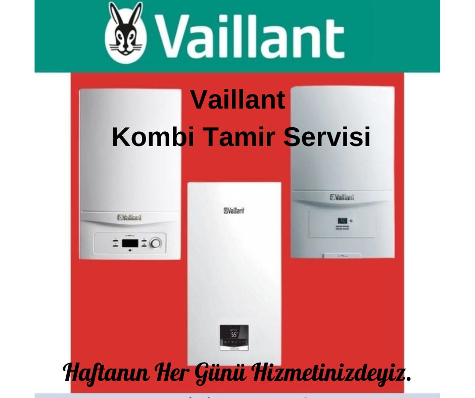 afyon vaillant kombi servisi